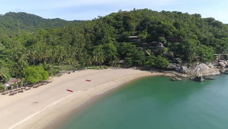 aerial view of a tropical beach with palm trees and turquoise water