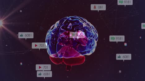 Animación-De-íconos-De-Redes-Sociales-En-Pancartas-Sobre-El-Cerebro-Humano