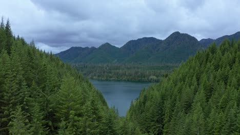 Aerial-over-Olympic-Natl-Forest-with-scenic-lake-and-mountains,-Washington-PNW