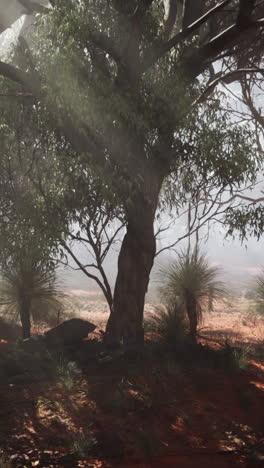 a large tree stands tall in a mist filled forest