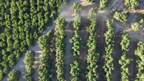 aerial top down of a tractor spraying pesticides alongside waru waru avocado plantations in a farm field on a sunny day