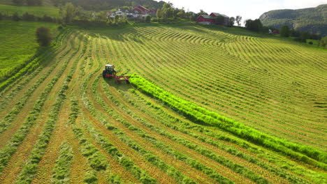 Grüne-Laubernte-Auf-Großem-Feld,-Geerntet-Mit-Traktoranhänger-Für-Silage,-Drohne