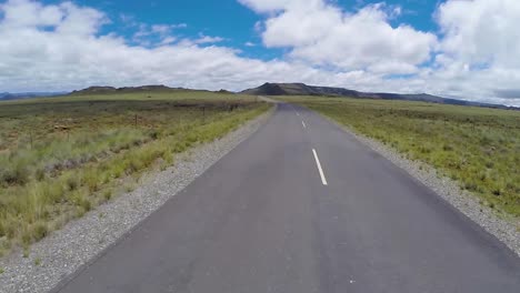 the karoo grasslands and fynbos