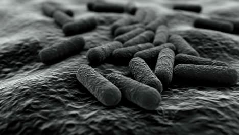 4k microscopic view of a bacteria colony.