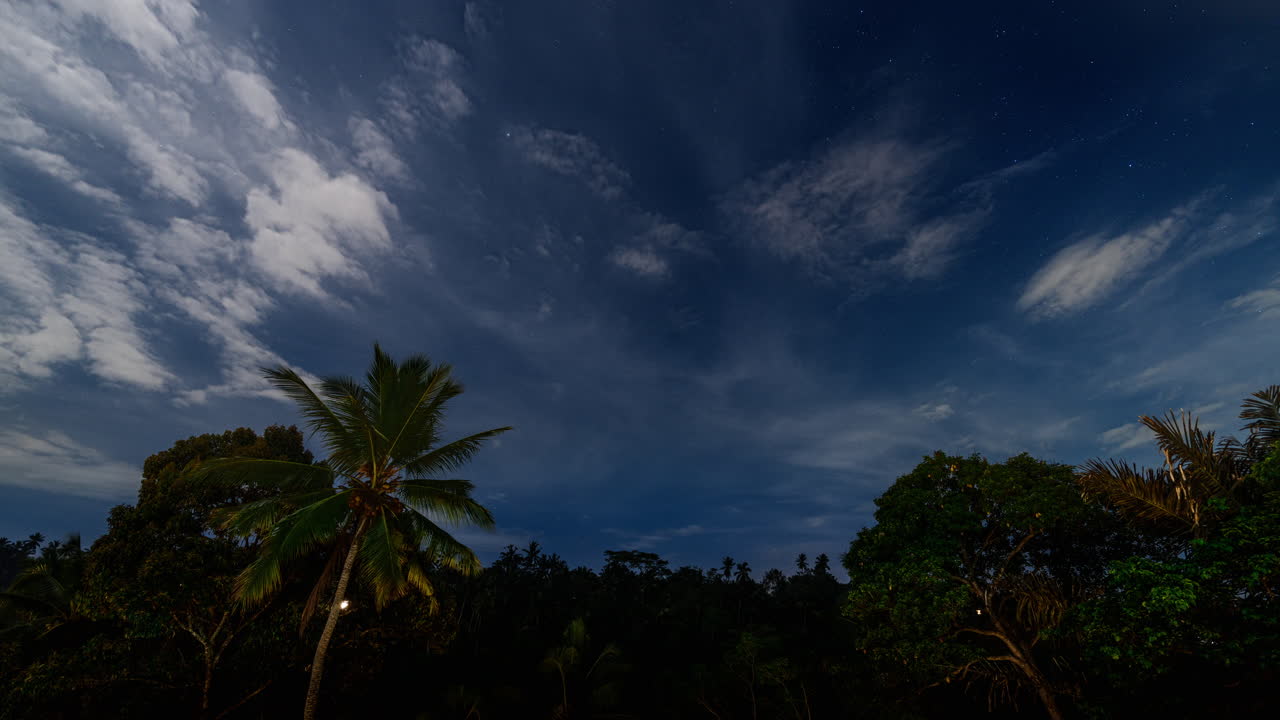 숲 나무 위의 파란 하늘에서 고속으로 움직이는  구름의 타임 스