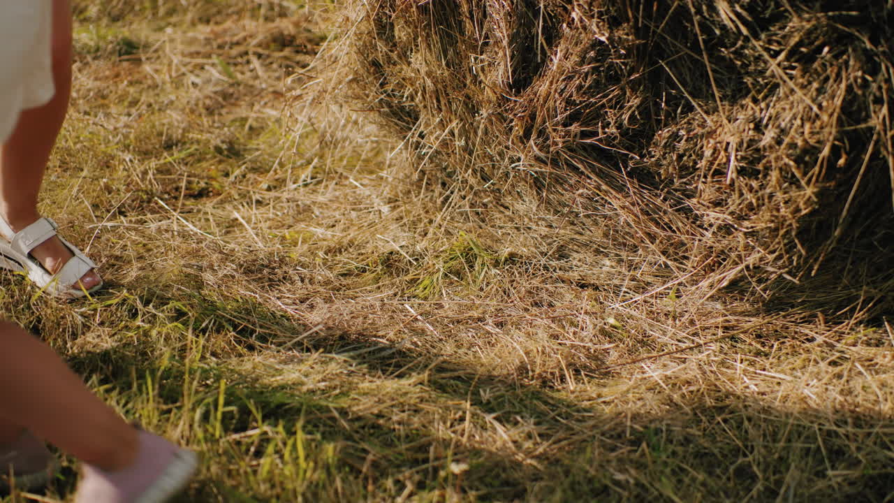 niño pequeño salta de la bala de heno mientras una persona madura está cerca, la luz del sol proyecta sombras cálidas en la hierba seca, capturando el momento lúdico al aire libre en el campo dorado