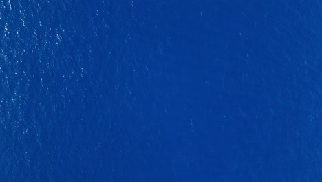 serene aerial of endless blue ocean with gentle waves, perfect for peaceful and soothing backdrops, top down static