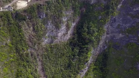 Daring-aerial-view-flight-slowly-tilt-down-drone-flight-of-Untouched-danger-nature-Kelingking-Beach-at-Nusa-Penida-Bali-Indonesia-Jurassic-Park