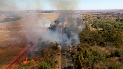 aerial view of bush fire beside highway, fire, bush, danger