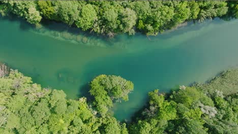 aerial view of cetina river flowing through canyon of croatia