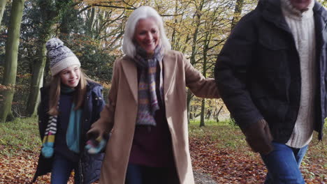 smiling grandparents walking with grandchildren along path in autumn countryside