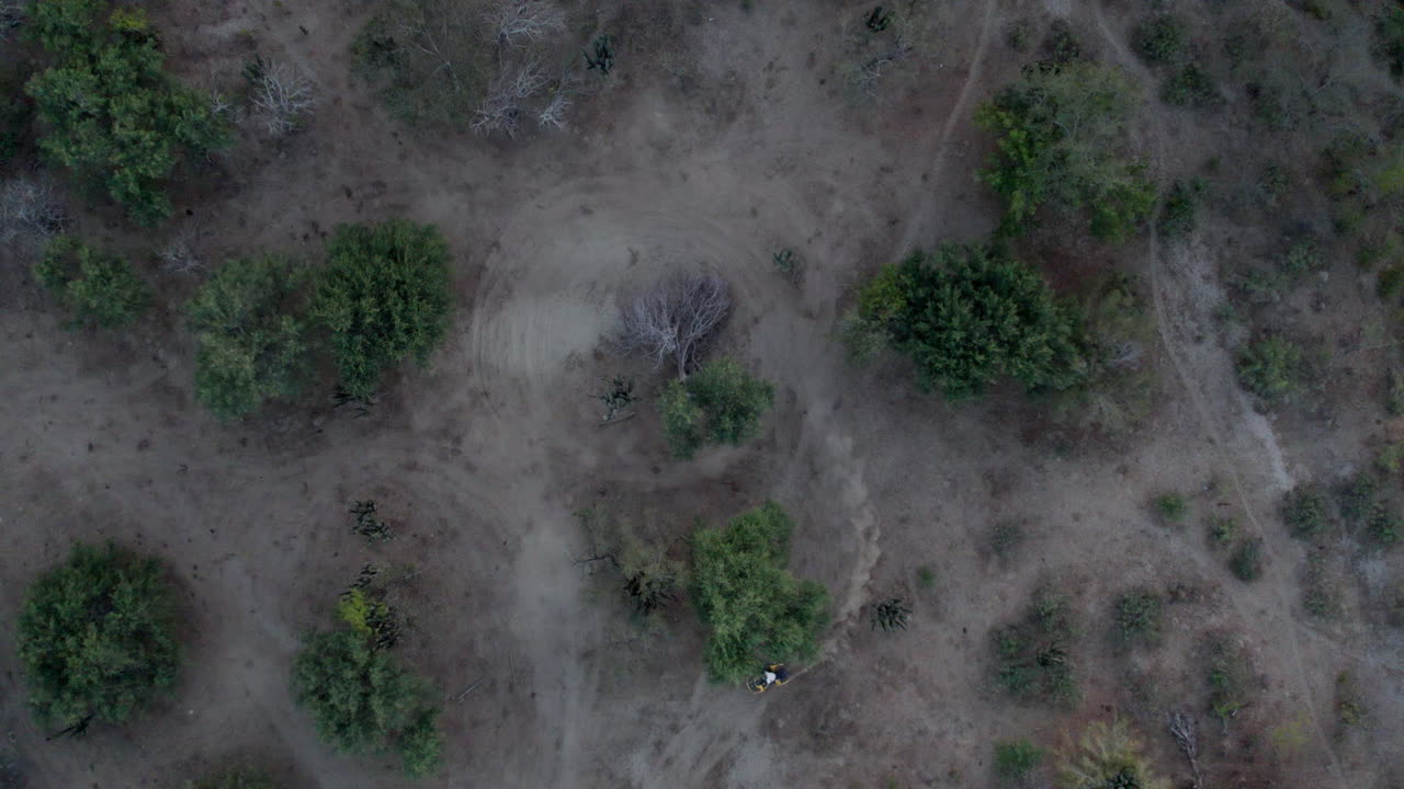 hombre montando una motocicleta levantando un rastro de polvo detrás de él mientras rodea un árbol