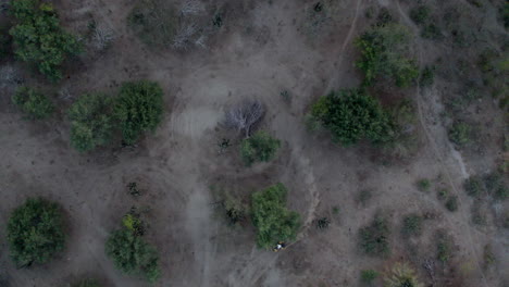 mann riding motorcycle lifting a dust trail behind him as he circles a tree