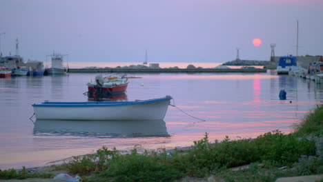 marine evening scene of quiet harbour with tied up boats and sea-gulls