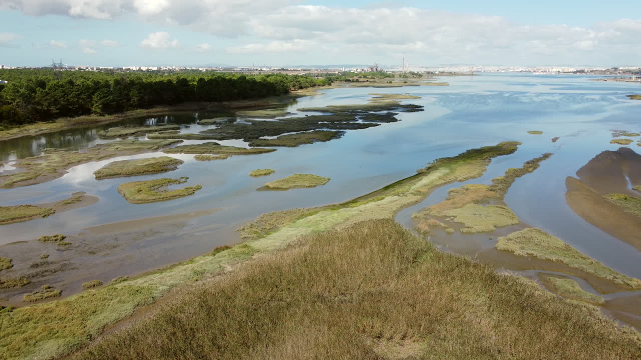 paisaje de pantanos con reflejos de árboles en la orilla del lago cerca de seixal en portugal