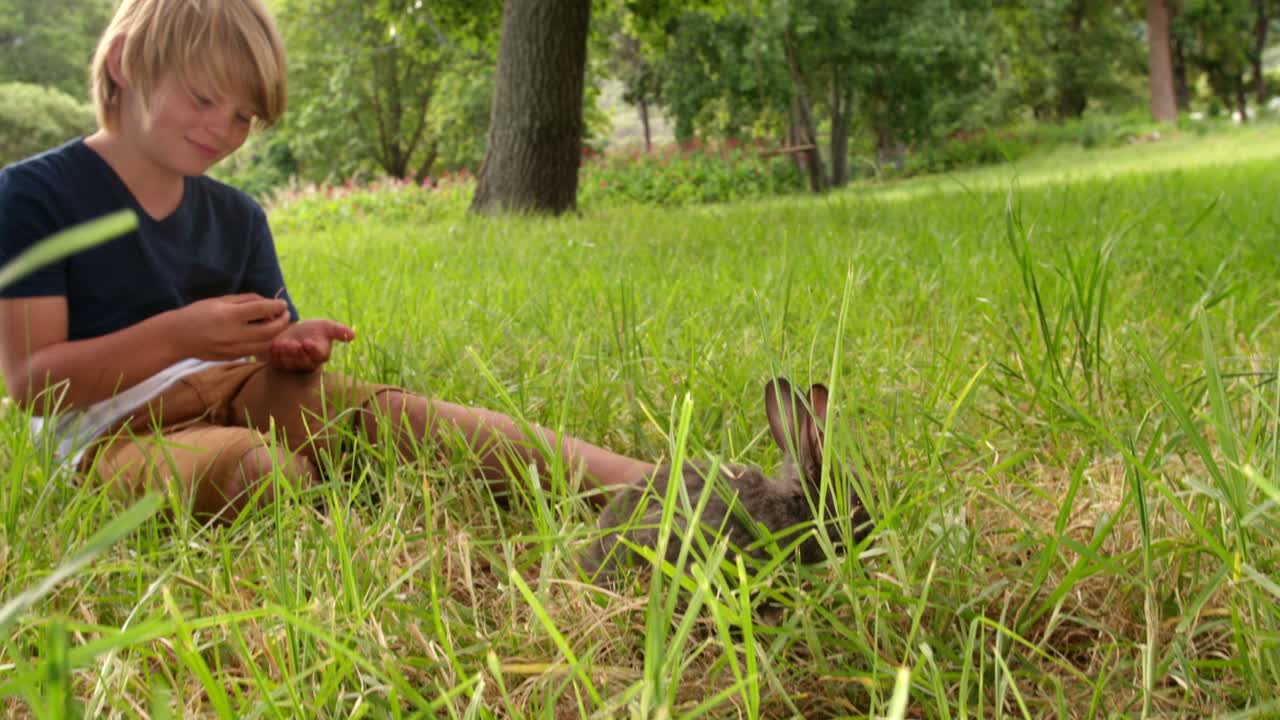 그 뒤 에 소년 이 있는 정원 에 있는 작은 토끼
