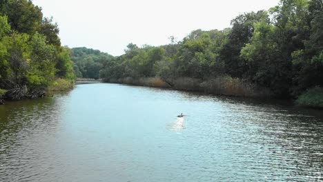 Tracking-aerial-shot-of-duck-taking-off-from-the-river-and-followed-with-drone-upstream-in-Ropotamo-river,-Bulgaria