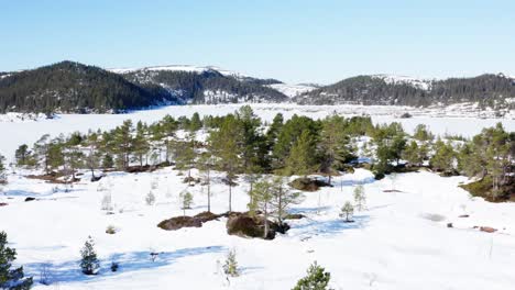 aerial view of trees in snowy land at daytime during winter in blaheia, norway