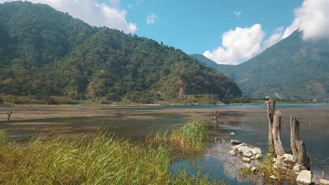 antena de drones volando sobre la hierba hacia el lago en un día soleado, atitlán, guatemala