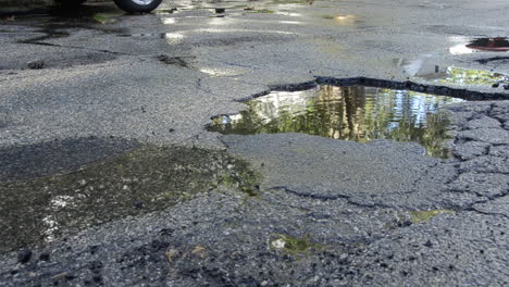 huge pothole in street filled with water, shimmering trees and sky