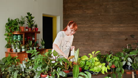 mujer regando plantas de interior en una tienda de flores