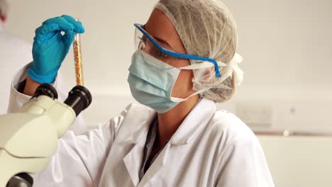 Scientist-looking-at-test-tube-of-corn