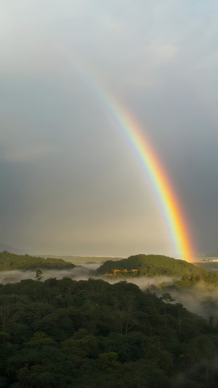 Vertical video: Arcing rainbow forming as sun breaking clouds over coast, fog thinning, copy space
