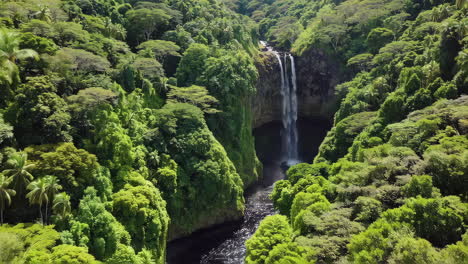 majestic waterfall cascading through a lush tropical jungle