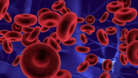 Animation-Roter-Blutkörperchen-über-Violetten-Neuronen-Auf-Violettem-Hintergrund