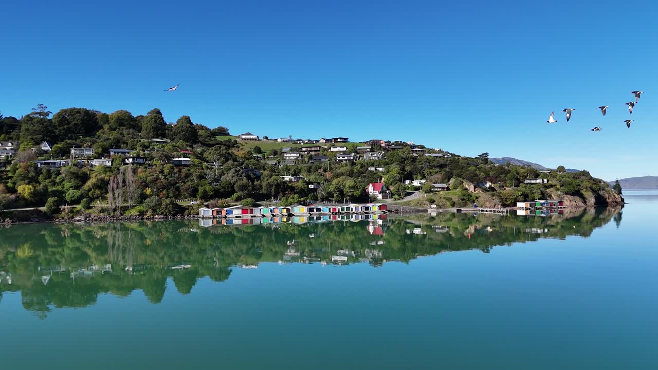Drone captures tranquil Akaroa bay with colorful houses and birds in flight under clear skies