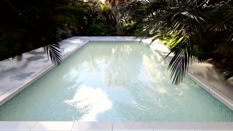 beautiful swimming pool on a lost tropical island on a clear sunny day. looped realistic 3d animation.