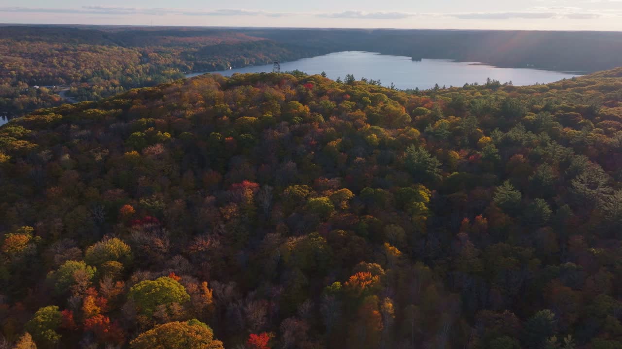 Colorful autumn forest and lake at dorset lookout tower in ontario, canada, aerial view