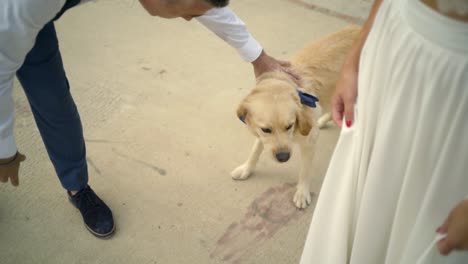 couple and their dog