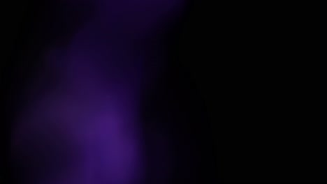 la luz multicolor filtra imágenes de 4k en fondo negro, estilizando el video, las transiciones, el efecto bokeh.