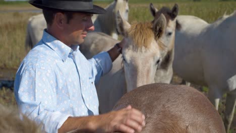 cowboy man petting his brown horse