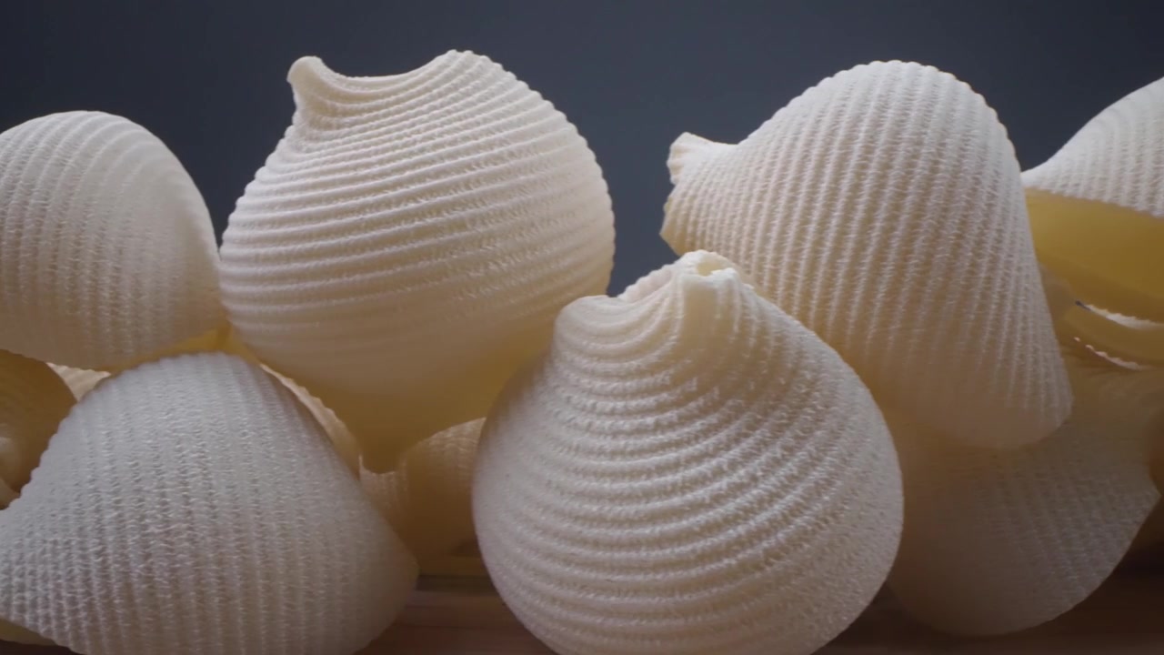 Macro Shot of Uncooked Conchiglie Pasta Shells