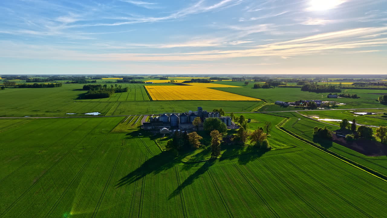 Rural farm surrounded by land rapeseed oil field agriculture and green grass, aerial view