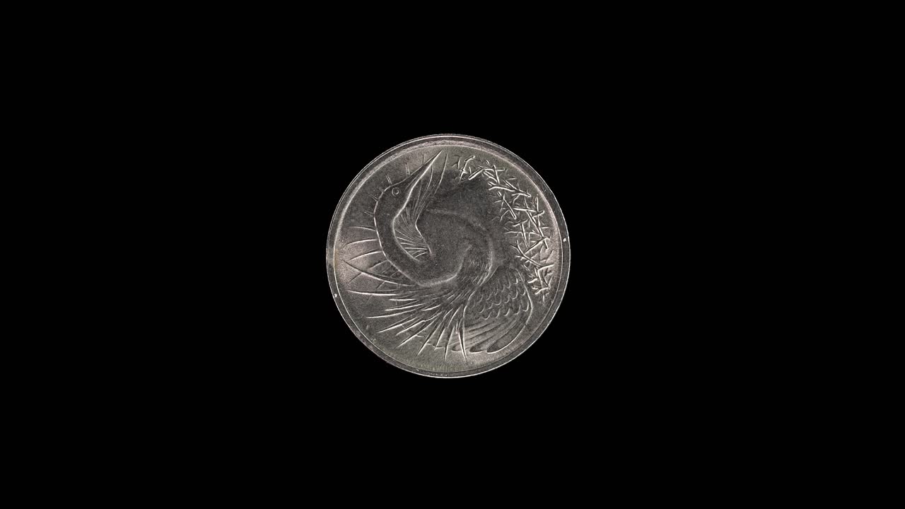 Singapore 5 cent 1980 coin obverse with snakebird, macro loop on black background