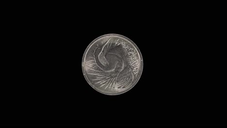 singapore 5 cent 1980 coin obverse with snakebird, macro loop on black background