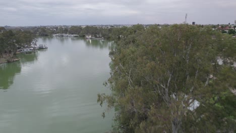 aerial flight over mildura river foreshore, victoria australia