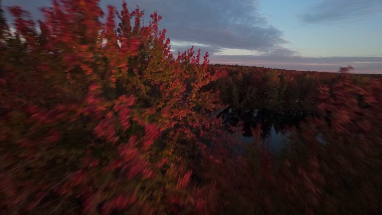 Fall Season Over Forest Trees In A River Near Sainte-Julie In Quebec, Canada. FPV Shot