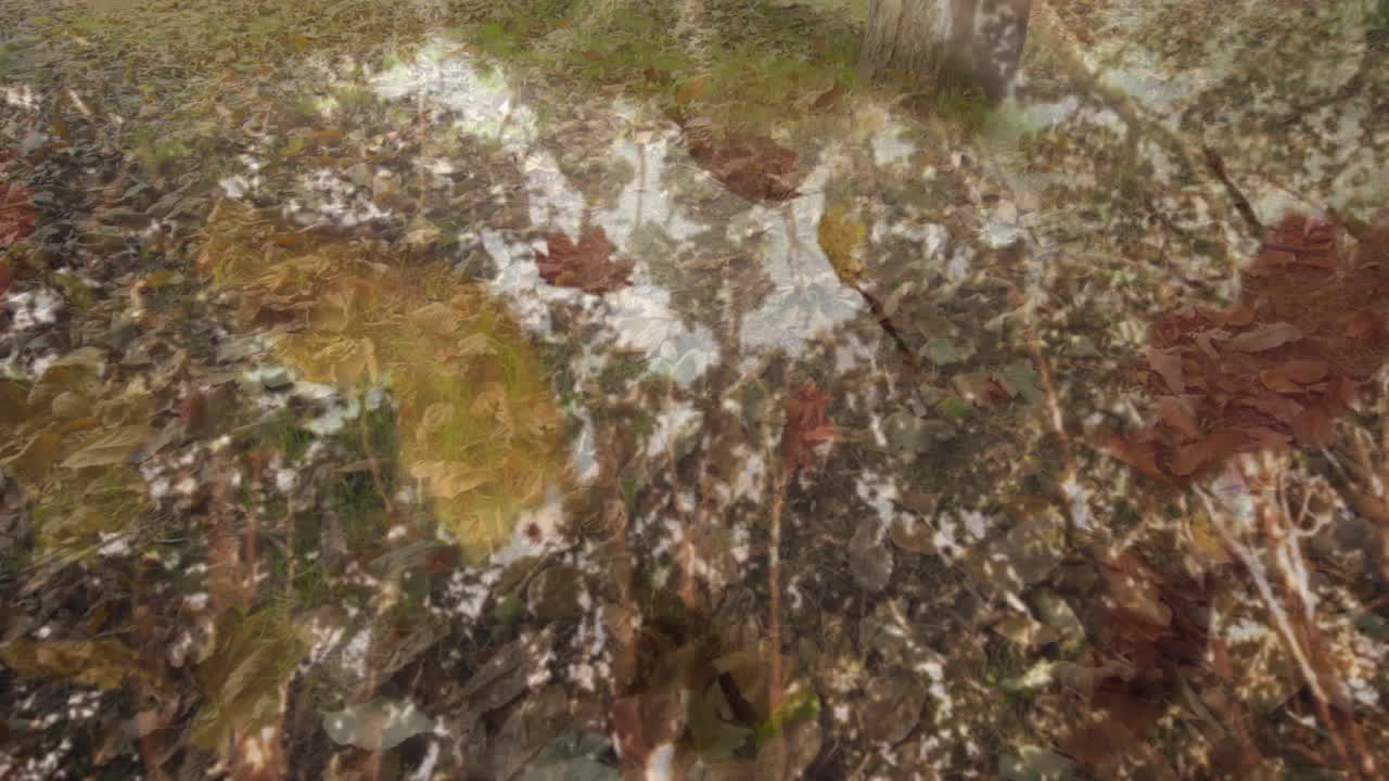 Herbstblätter mit Waldreflexion, die sich wunderschön in ruhigem Wasser vermischen, als Animation.
