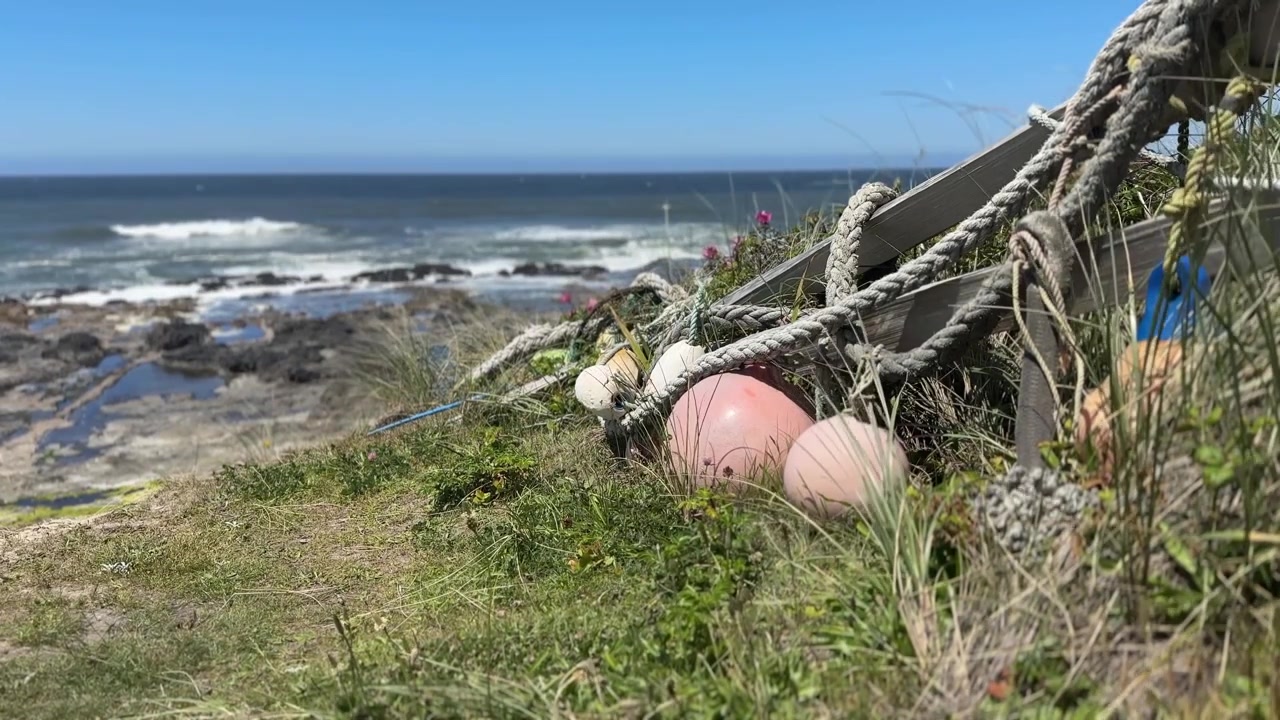 Um poste de cerca de madeira sustenta uma rede de corda náutica e boias de espuma, desgastado pelo ar salgado na costa do Oregon.