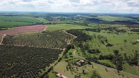 Hohe-Luftaufnahme-Der-Ländlichen-Landschaft-Und-Des-Obstgartenlandes,-Sonniger-Tag