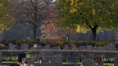 Hojas-De-Otoño-Cayendo-De-Los-árboles-En-El-Cementerio-De-Kviberg-En-Gotemburgo,-Suecia