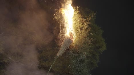 bamboo pyre being lit on fire at hachiman matsuri event in omihachiman, japan