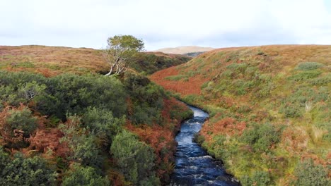 scottish highland river on a beautiful grassy field