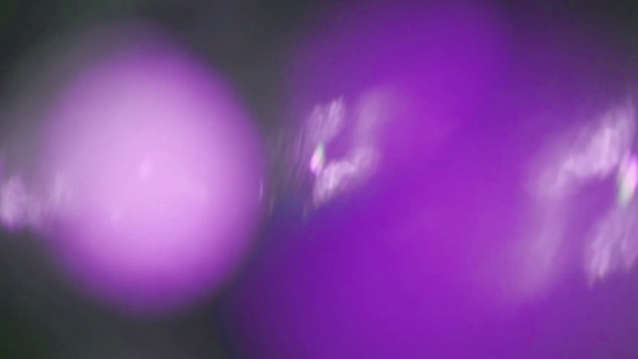 Abstract Purple Light Flares and Bokeh Background