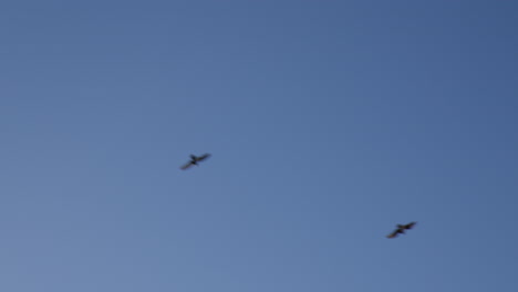 Looking-Up-At-Birds-Flying-Above-Historical-Buildings-In-Bath,-England---Low-Angle-Shot