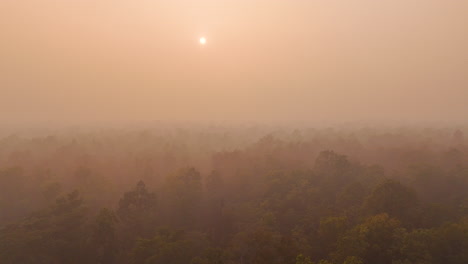 Drohnenaufnahme-In-Der-Terai-Region-Ostnepals,-Bedeckt-Mit-Nebel-Und-Schnee-Im-Wilden-Wald,-Halten-Sie-Sonnenlicht-Für-Die-Wintersaison-In-Filmischem-4k